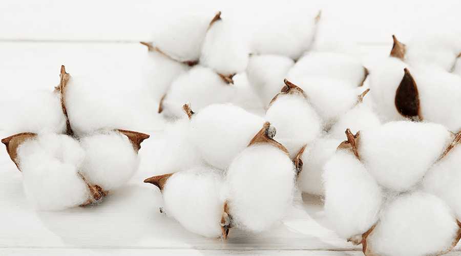 Observation of Overseas Cotton Textile Market in 2023